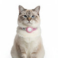 Carica l'immagine nel visualizzatore della galleria, Collier chat anti étranglement en rose avec plaque d'identité et fermeture sécurisée
