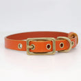 Load image into Gallery viewer, Collier chien cuir personnalisable orange avec boucle en métal pour un ajustement parfait