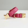 Charger l'image dans la visionneuse de la galerie, Collier chien en velours personnalisable rose avec boucle et anneau métalliques dorés Oscar et Plume