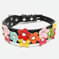 Load image into Gallery viewer, Collier chien fleurs en cuir noir avec décorations florales colorées Oscar et Plume