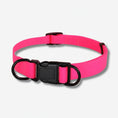 Charger l'image dans la visionneuse de la galerie, Collier chien imperméable rose vif avec boucle noire et anneaux pour l'attache