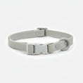 Charger l'image dans la visionneuse de la galerie, Collier chien PVC résistant gris clair avec boucle et anneau pour attache de laisse