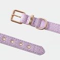 Charger l'image dans la visionneuse de la galerie, Collier couture chien violet en cuir texturé avec boucle métallique dorée de la marque Oscar et Plume