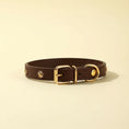 Charger l'image dans la visionneuse de la galerie, Collier design pour chat en cuir marron orné de petites étoiles dorées par Oscar et Plume