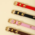 Charger l'image dans la visionneuse de la galerie, Collier design pour chat en cuir avec boucle dorée disponible en rouge, noir, rose et marron