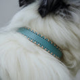 Load image into Gallery viewer, Collier en cuir pour chien de couleur verte avec un design élégant et une couture distinctive