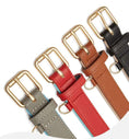 Charger l'image dans la visionneuse de la galerie, Quatre colliers en cuir pour chien de différentes couleurs avec boucles dorées signés Oscar et Plume