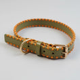 Load image into Gallery viewer, Collier en cuir pour chien vert avec couture orange et boucle en métal doré