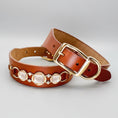 Charger l'image dans la visionneuse de la galerie, Collier en cuir pour petit chien marron avec boucle dorée et ornements blancs brillants