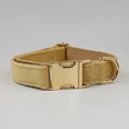 Charger l'image dans la visionneuse de la galerie, Collier en velours pour chien de couleur beige avec boucle dorée et finition élégante