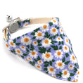 Charger l'image dans la visionneuse de la galerie, Collier et bandana petit chien motif fleurs blanches et orange sur fond violet par Oscar et Plume