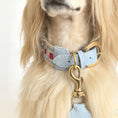 Carica l'immagine nel visualizzatore della galleria, Collier et laisse pour chien en cuir bleu avec détail coloré et attache dorée
