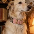 Carica l'immagine nel visualizzatore della galleria, Collier et laisse pour chien Oscar et Plume avec un design élégant et une finition en cuir rose
