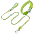 Load image into Gallery viewer, Ensemble collier et laisse pour chien en vert avec une conception résistante et des couleurs vives