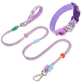 Load image into Gallery viewer, Ensemble collier et laisse pour chien en violet et rose, idéal pour les promenades confortables