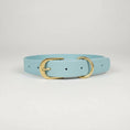 Load image into Gallery viewer, Collier imperméable chien bleu ciel Oscar et Plume avec boucle dorée réglable en plusieurs tailles