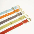 Load image into Gallery viewer, Collier imperméable chien Oscar et Plume en cuir synthétique coloré avec boucle dorée