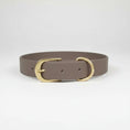 Load image into Gallery viewer, Collier imperméable chien de différentes tailles avec boucle dorée élégant par Oscar et Plume