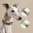Load image into Gallery viewer, Collier large pour lévrier en cuir avec couleur marron et accents verts pour un look élégant