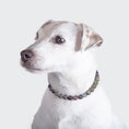 Load image into Gallery viewer, Collier lithothérapie chien anxieux d'Oscar et Plume, conçu pour apaiser les chiens stressés