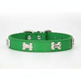 Charger l'image dans la visionneuse de la galerie, Collier os pour chien vert en cuir avec décorations os métalliques argentées Oscar et Plume
