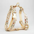 Charger l'image dans la visionneuse de la galerie, Collier personnalisable Pour Chien floral avec boucles dorées ajustables de Oscar et Plume