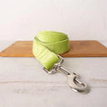 Charger l'image dans la visionneuse de la galerie, Collier personnalisable velours pour chien vert clair avec attache métal Oscar et Plume