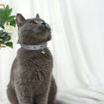 Charger l'image dans la visionneuse de la galerie, Chat gris portant un collier pour chat avec clochette bleu clair de la marque Oscar et Plume