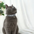 Charger l'image dans la visionneuse de la galerie, Chat gris portant un collier pour chat avec clochette gris clair modèle Oscar et Plume