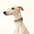 Charger l'image dans la visionneuse de la galerie, Collier pour chien coloré d'Oscar et Plume, parfait pour les chiens élégants