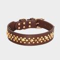 Charger l'image dans la visionneuse de la galerie, Collier pour chien design en cuir marron avec clous dorés de la marque Oscar et Plume