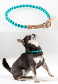 Load image into Gallery viewer, Collier pour chien hyperactif Oscar et Plume en perles turquoise avec fermeture en cuir beige