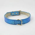 Charger l'image dans la visionneuse de la galerie, Collier pour chien imitation crocodile bleu avec boucle dorée et doublure beige par Oscar et Plume