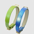 Charger l'image dans la visionneuse de la galerie, Collier pour chien imitation crocodile vert et bleu avec boucles dorées Oscar et Plume