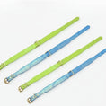 Charger l'image dans la visionneuse de la galerie, Collier pour chien imitation crocodile Oscar et Plume en cuir bleu et vert avec boucle dorée