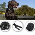 Load image into Gallery viewer, Collier pour grand chien avec poignée en nylon noir par Oscar et Plume, robuste et sécurisé