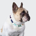 Load image into Gallery viewer, Chien portant un collier rééquilibrage chien de la marque Oscar et Plume avec perles colorées