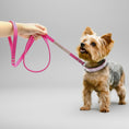 Load image into Gallery viewer, Collier strass pour chien en rose avec laisse assortie, idéal pour les promenades élégantes