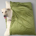 Charger l'image dans la visionneuse de la galerie, Chien couché confortablement sur un coussin chien douillet vert conçu par Oscar et Plume