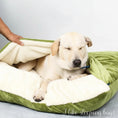 Charger l'image dans la visionneuse de la galerie, Chien endormi confortablement dans un coussin chien douillet vert et blanc de Oscar et Plume