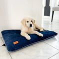 Charger l'image dans la visionneuse de la galerie, Coussin en velours pour chien Oscar et Plume avec un chiot confortable dessus