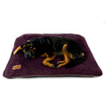 Charger l'image dans la visionneuse de la galerie, coussin-en-velours-pour-chien-violet-confortable-pour-chien-confortable