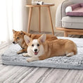 Carica l'immagine nel visualizzatore della galleria, Deux chiens Corgis se reposant sur un coussin moelleux pour chien dans un intérieur chaleureux