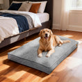 Carica l'immagine nel visualizzatore della galleria, Coussin pour chien Oscar et Plume gris avec un chien heureux allongé dans une chambre élégante