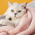 Charger l'image dans la visionneuse de la galerie, Chat gris clair emmitouflé dans une couverture rose moelleuse Oscar et Plume couverture douce pour chien et chat pour siestes