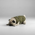 Cargar la imagen en la vista de la galería, Chien portant une veste imperméable chien verte allongé sur un coussin gris moelleux