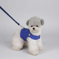 Charger l'image dans la visionneuse de la galerie, Petit chien blanc portant une élégante veste pour chien bleue avec laisse assortie