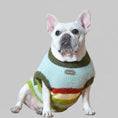 Charger l'image dans la visionneuse de la galerie, Pull doux pour chien en laine avec des rayures vertes et orange, parfait pour les promenades hivernales