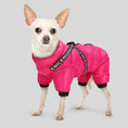 Charger l'image dans la visionneuse de la galerie, doudoune imperméable pour chien Oscar et Plume rose vif rembourrée avec sangles noires chihuahua dans la neige