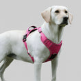 Charger l'image dans la visionneuse de la galerie, Chien blanc portant un harnais chien AirTag rose de la marque Oscar et Plume en extérieur